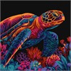 Ideyka KHO5182 Malen nach Zahlen - Geheimnisvolle Schildkröte 30 x 30 cm