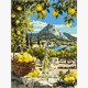 Ideyka KHO6444 Malen nach Zahlen Unter der Zitronensonne 30 x 40 cm