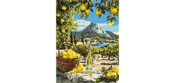 Ideyka KHO6444 Malen nach Zahlen Unter der Zitronensonne 30 x 40 cm