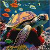 ideyka KHO6503 Malen nach Zahlen - Unterwasser Bewohner 40 x 40 cm