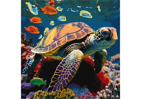 ideyka KHO6503 Malen nach Zahlen - Unterwasser Bewohner 40 x 40 cm