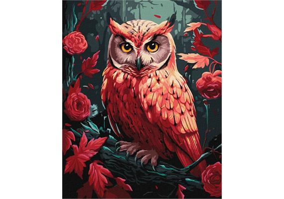 ideyka KHO6579 Malen nach Zahlen - Bunte Eule 40 x 50 cm