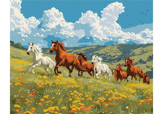 ideyka KHO6591 Malen nach Zahlen - Pferde 50 x 40 cm