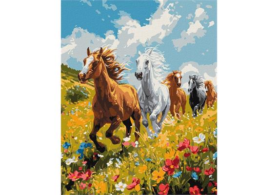 ideyka KHO6597 Malen nach Zahlen - Harmonie auf dem Feld 40 x 50 cm