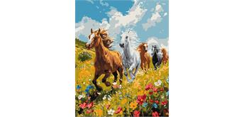 ideyka KHO6597 Malen nach Zahlen - Harmonie auf dem Feld 40 x 50 cm