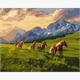 ideyka KHO6609 Malen nach Zahlen - Freie Geister 40 x 50 cm