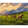 ideyka KHO6609 Malen nach Zahlen - Freie Geister 40 x 50 cm