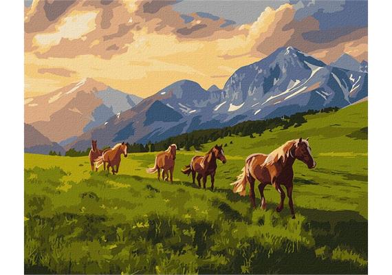 ideyka KHO6609 Malen nach Zahlen - Freie Geister 40 x 50 cm