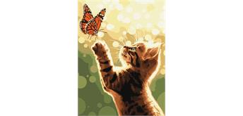 ideyka KHO6615 Malen nach Zahlen - Katze und Schmetterling 30 x 40 cm