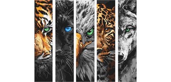 ideyka KHO6622 Malen nach Zahlen - Die Raubtiere 40 x 50 cm