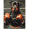 ideyka KHO6647 Malen nach Zahlen - Boxkampf 30 x 40 cm