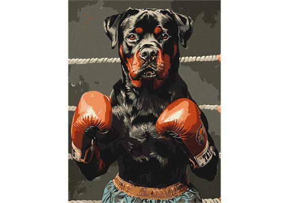 ideyka KHO6647 Malen nach Zahlen - Boxkampf 30 x 40 cm