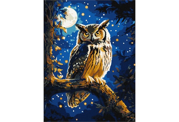 Ideyka KHO6681 Malen nach Zahlen - Nachtschwärmer 30 x 40 cm