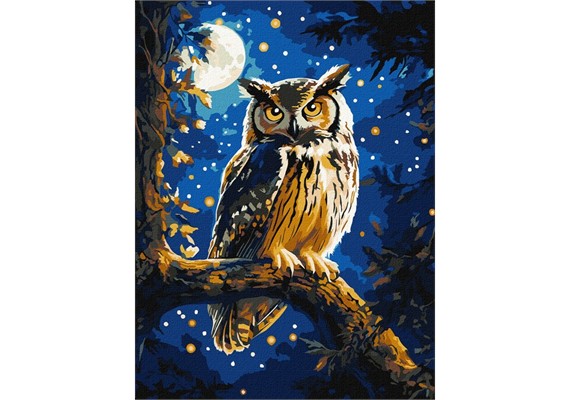 Ideyka KHO6681 Malen nach Zahlen - Nachtschwärmer 30 x 40 cm