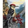 ideyka KHO6778 Malen nach Zahlen - Specht auf einem Schneeballstrauch 40 x 50 cm