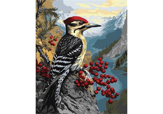 ideyka KHO6778 Malen nach Zahlen - Specht auf einem Schneeballstrauch 40 x 50 cm