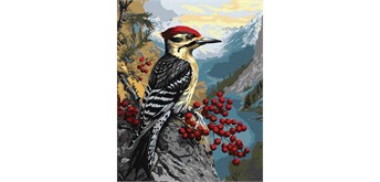 ideyka KHO6778 Malen nach Zahlen - Specht auf einem Schneeballstrauch 40 x 50 cm