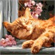 Ideyka KHO6791 Malen nach Zahlen Rote Katze auf der Fensterbank 40 x 40 cm