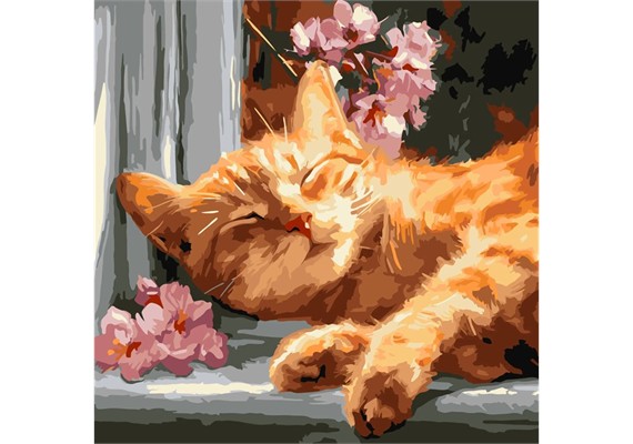 Ideyka KHO6791 Malen nach Zahlen Rote Katze auf der Fensterbank 40 x 40 cm