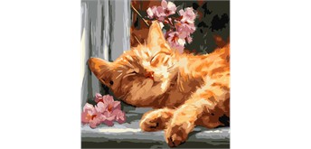 Ideyka KHO6791 Malen nach Zahlen Rote Katze auf der Fensterbank 40 x 40 cm
