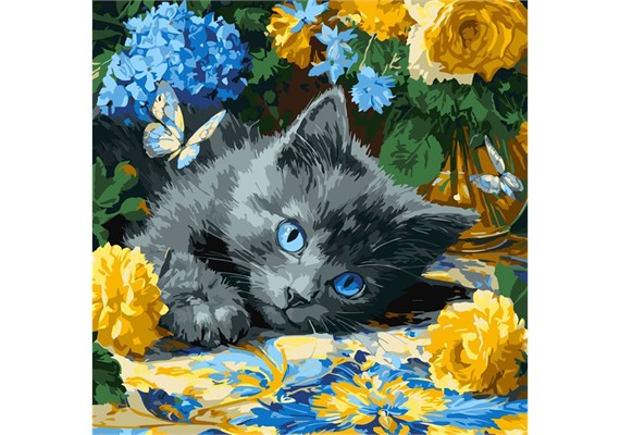 Ideyka KHO6795 Malen nach Zahlen Blauäugiges Kätzchen 40 x 40 Ideyka KHO6795 Malen nach Zahlen Blauäugiges Kätzchen 40 x 40