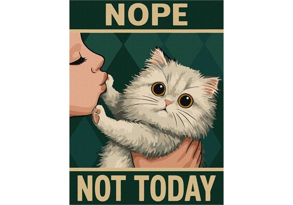 ideyka KHO6802 Malen nach Zahlen - Poster - Nicht heute 30 x 40 cm