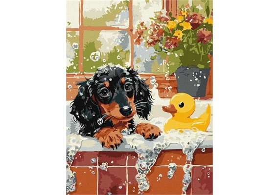 ideyka KHO6811 Malen nach Zahlen - Baden mit einer Ente 30 x 40 cm