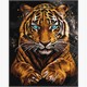 ideyka KHO6812 Malen nach Zahlen - Ein wilder Tiger 40 x 50 cm