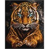 ideyka KHO6812 Malen nach Zahlen - Ein wilder Tiger 40 x 50 cm