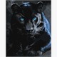 ideyka KHO6813 Malen nach Zahlen - Ein wilder Panther 40 x 50 cm