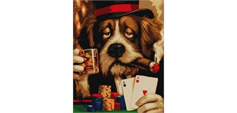 Ideyka KHO6816 Malen nach Zahlen - Beam ist wirklich müde 40 x 50 cm