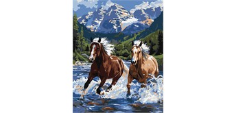 Ideyka KHO6830 Malen nach Zahlen - Kraft in Bewegung 40 x 50 cm