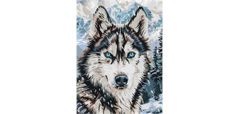 Ideyka KHO6842 Malen nach Zahlen - Augen des Nordens 30 x 40 cm