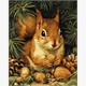 Ideyka KHO6843 Malen nach Zahlen Eichhörnchen und Nüsse 40 x 50 cm
