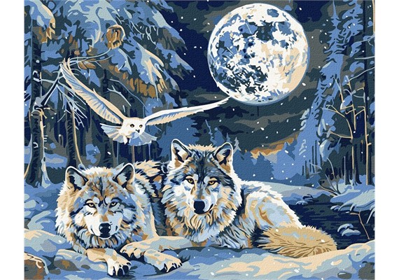 ideyka KHO6848 Malen nach Zahlen - Raubtiere und Weisheit 40 x 50 cm