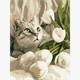 Ideyka KHO6891 Malen nach Zahlen Grünäugige Katze mit Tulpen 30 x 40 cm