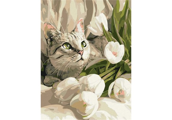 Ideyka KHO6891 Malen nach Zahlen Grünäugige Katze mit Tulpen 30 x 40 cm