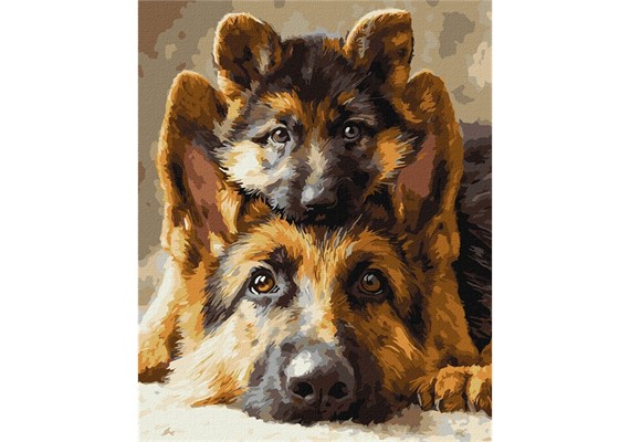 Ideyka KHO6944 Malen nach Zahlen - Immer zusammen 40 x 50 cm