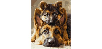Ideyka KHO6944 Malen nach Zahlen - Immer zusammen 40 x 50 cm