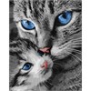 Ideyka KHO6945 Malen nach Zahlen - Schnurrende Mama 40 x 50 cm