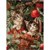 Ideyka KHO6949 Malen nach Zahlen Katzen im Korb 30 x 40 cm