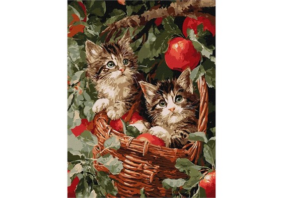Ideyka KHO6949 Malen nach Zahlen Katzen im Korb 30 x 40 cm