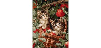 Ideyka KHO6949 Malen nach Zahlen Katzen im Korb 30 x 40 cm