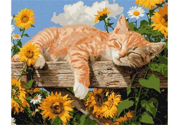 Ideyka KHO6956 Malen nach Zahlen In den Armen des Frühlings 40 x 50 cm