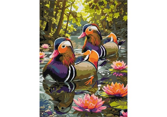 Ideyka KHO6957 Malen nach Zahlen Enten zwischen Seerosen 30 x 40 cm