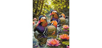 Ideyka KHO6957 Malen nach Zahlen Enten zwischen Seerosen 30 x 40 cm