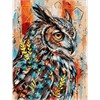 Ideyka KHO6958 Malen nach Zahlen Ausdrucksstarke Eule 30 x 40 cm