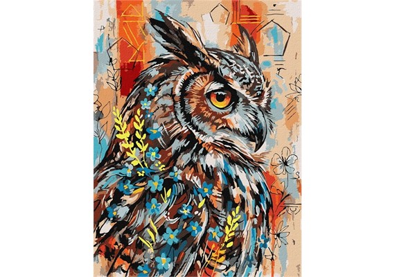 Ideyka KHO6958 Malen nach Zahlen Ausdrucksstarke Eule 30 x 40 cm