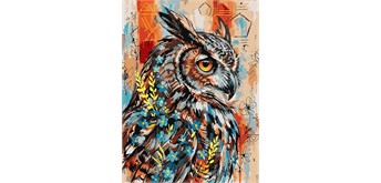 Ideyka KHO6958 Malen nach Zahlen Ausdrucksstarke Eule 30 x 40 cm