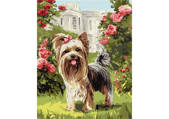 Ideyka KHO6960 Malen nach Zahlen York im Garten 40 x 50 cm